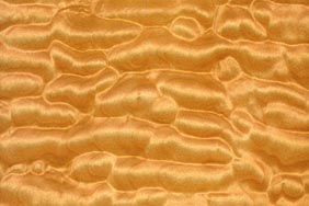quilted maple