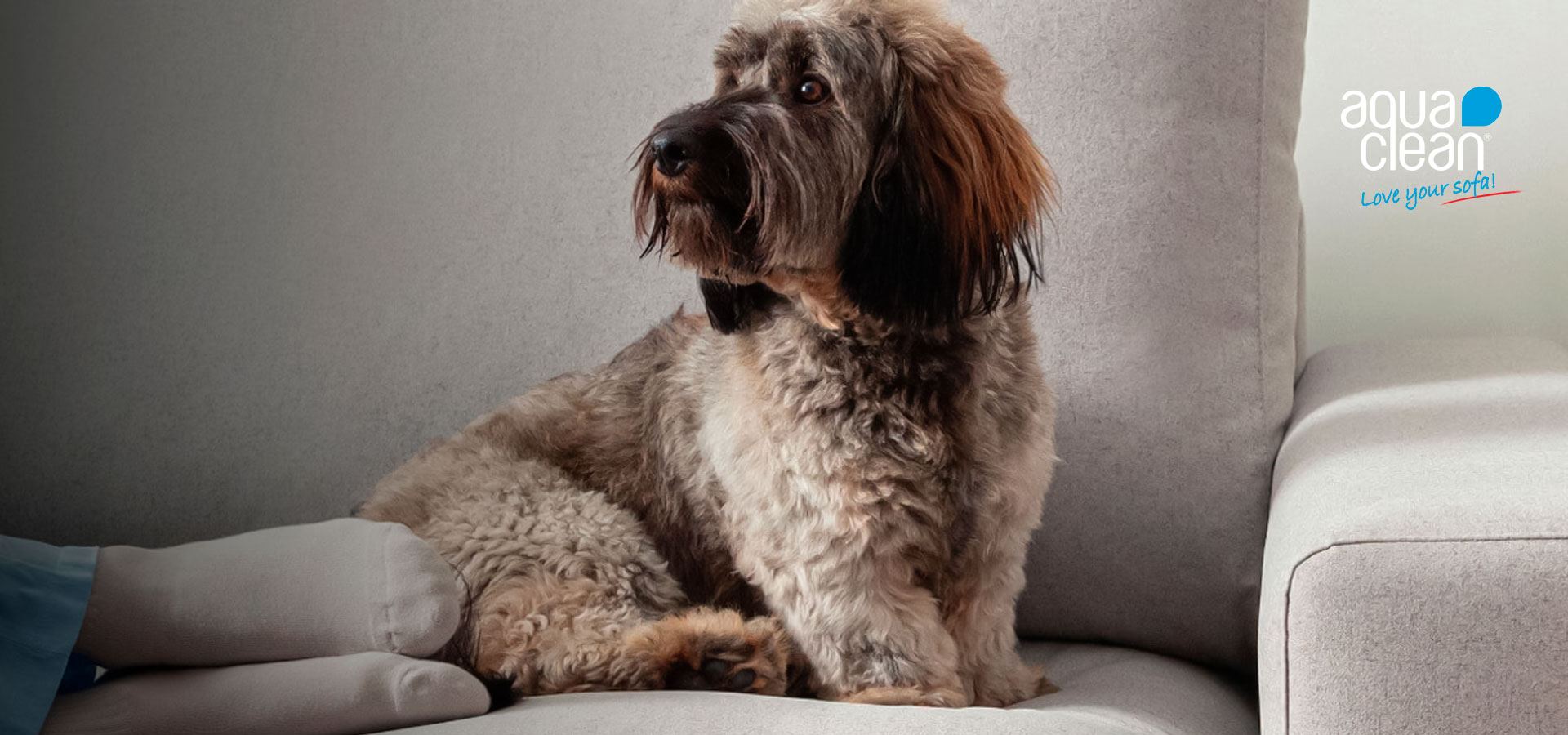 Sofá con tela resistente al uso de mascotas