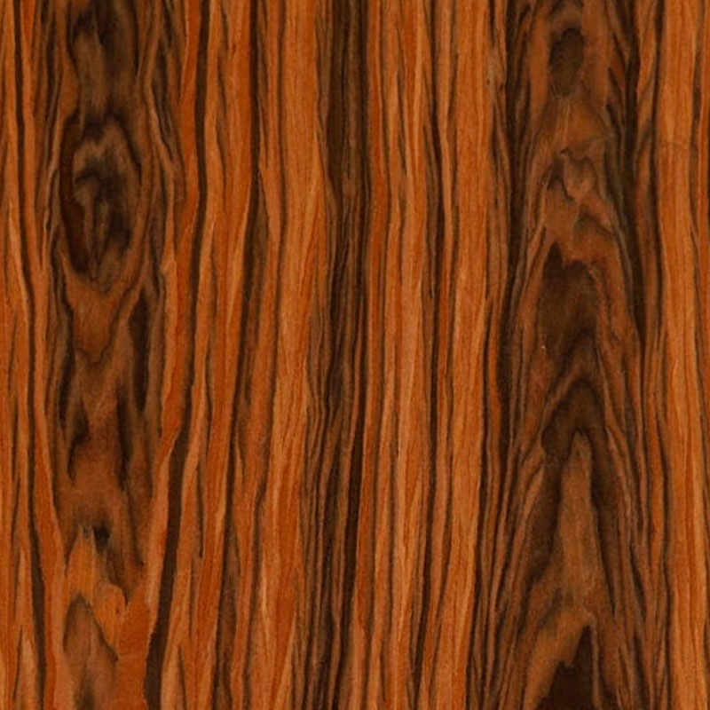 Chapa de Brazilian Rosewood