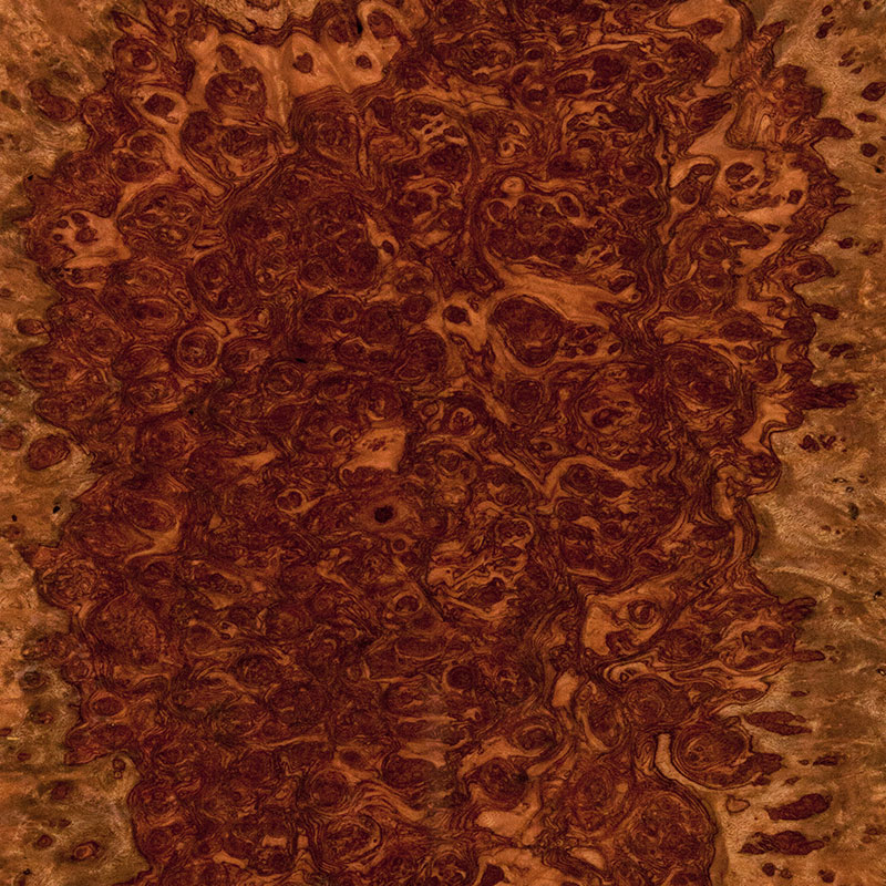 Chapa de madera de bubinga burl