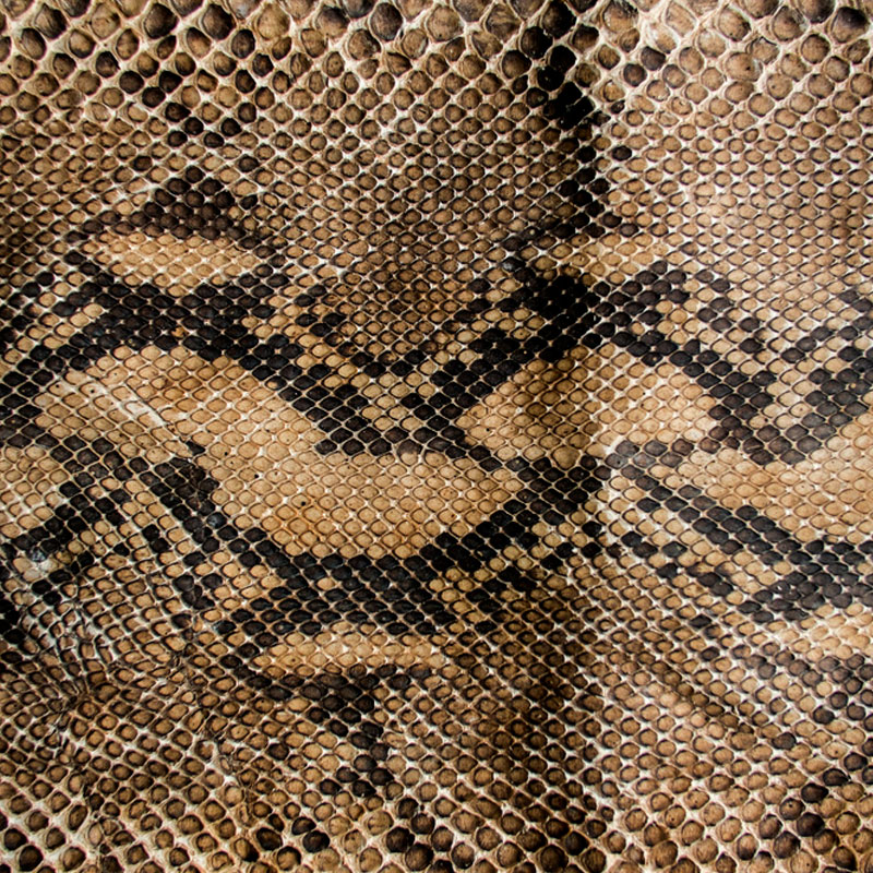 Piel de serpiente para muebles