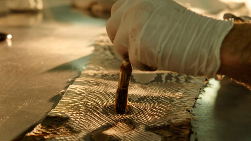 Piel de serpiente para muebles